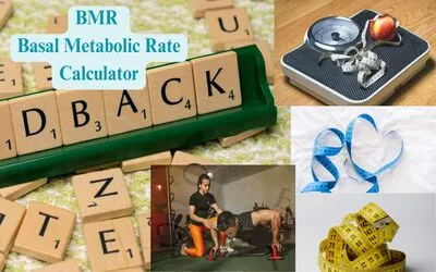 Basal Metabolic Rate Calculator