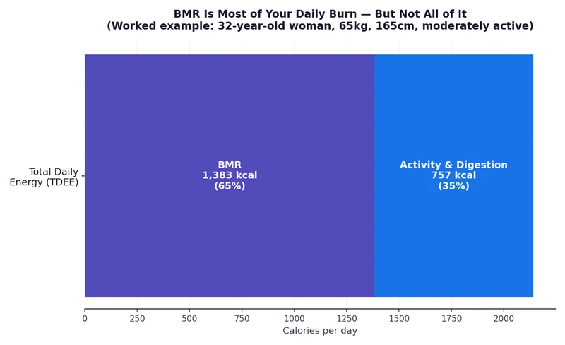 Chart showing BMR as 65% of total daily energy expenditure (TDEE), worked example